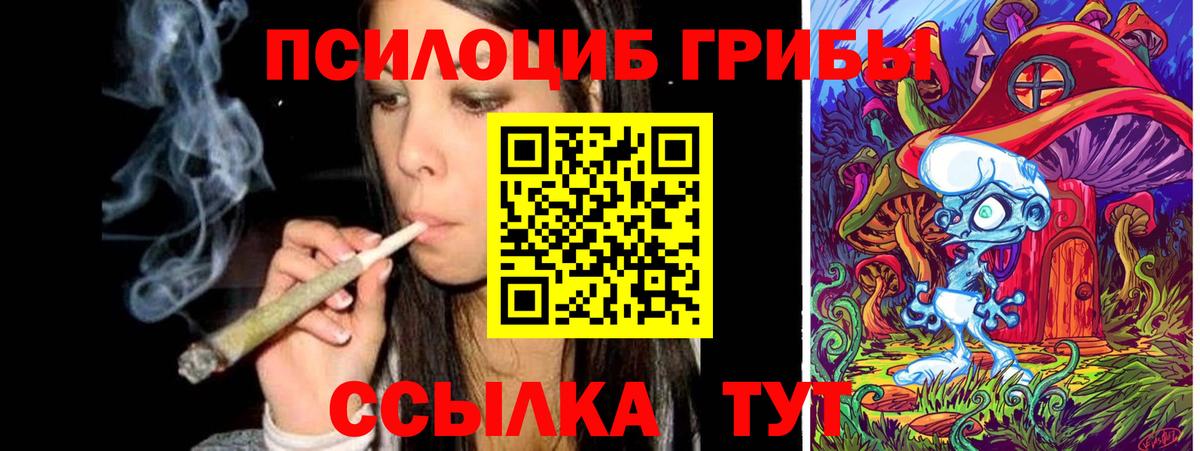 Псилоцибиновые грибы GOLDEN TEACHER Нефтекумск